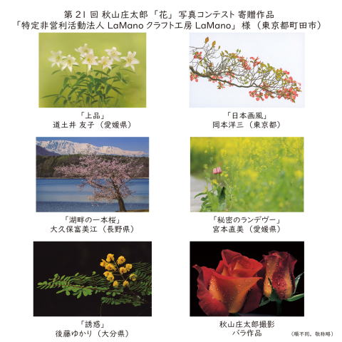秋山庄太郎癒しの「花」シリーズ3種　　フォトインテリア　交渉大歓迎 写真集 花3 / 秋山庄太郎監 | Natsume Books